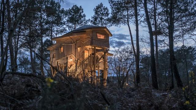 Cabanes du Center Parcs le Bois aux Daims