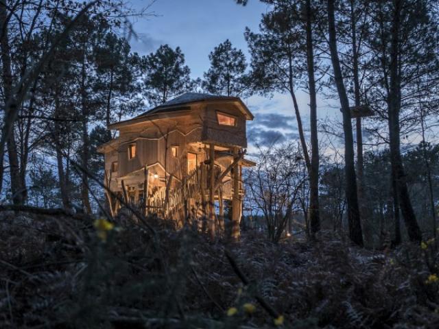 Cabins at Center Parcs le Bois aux Daims