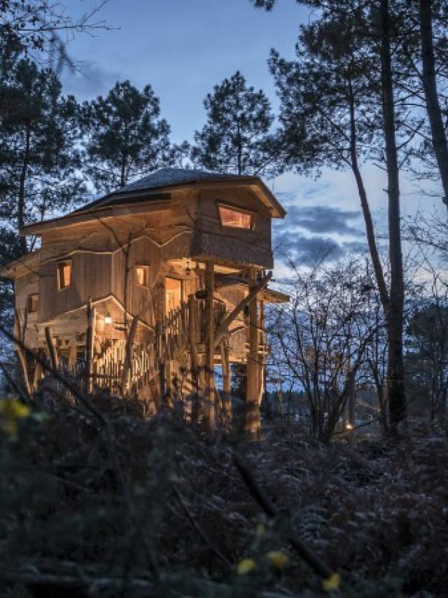 Cabins at Center Parcs le Bois aux Daims