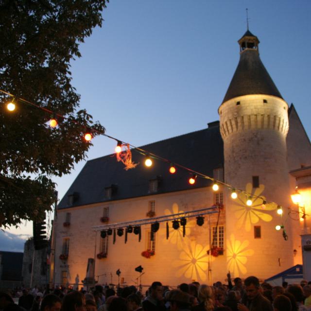 Château de Monts-sur-Guesnes de nuit