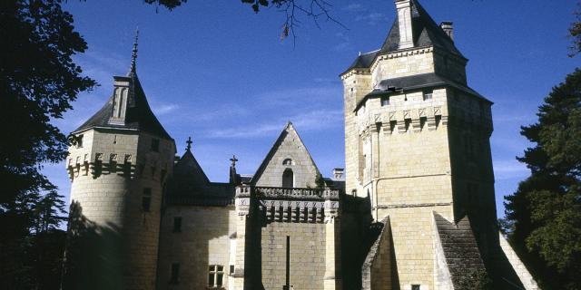 View from Château de Ternay