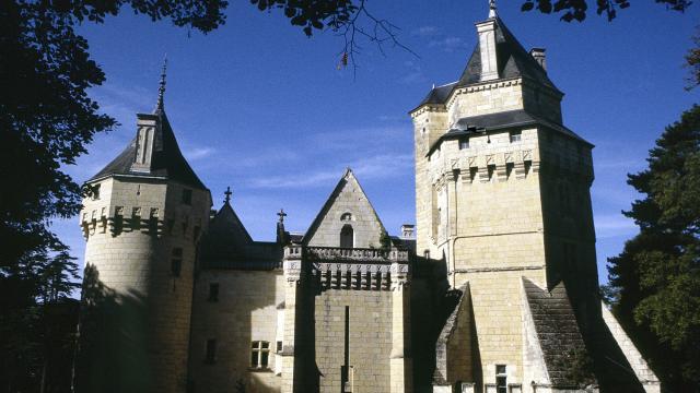 Vue du château de Ternay