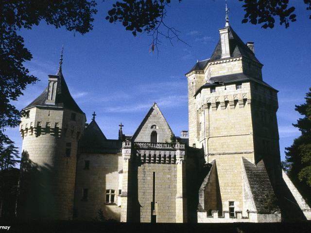 Vue du château de Ternay