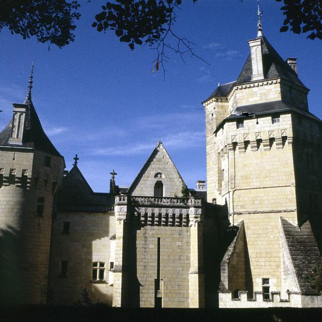 View from Château de Ternay