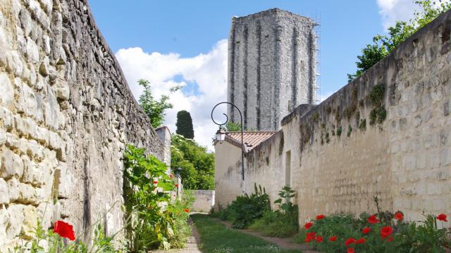 Loudun's Tour Carrée behind a street of poppies