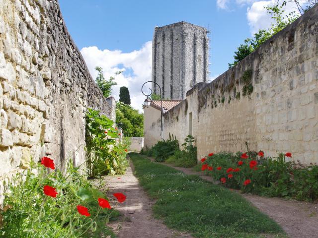 Tour Carrée de Loudun derrière une rue de coquelicots