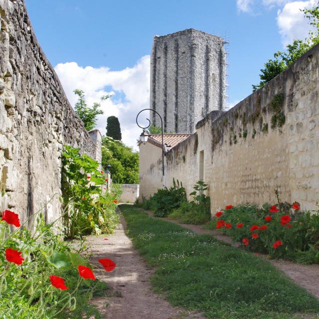 Tour Carrée de Loudun derrière une rue de coquelicots