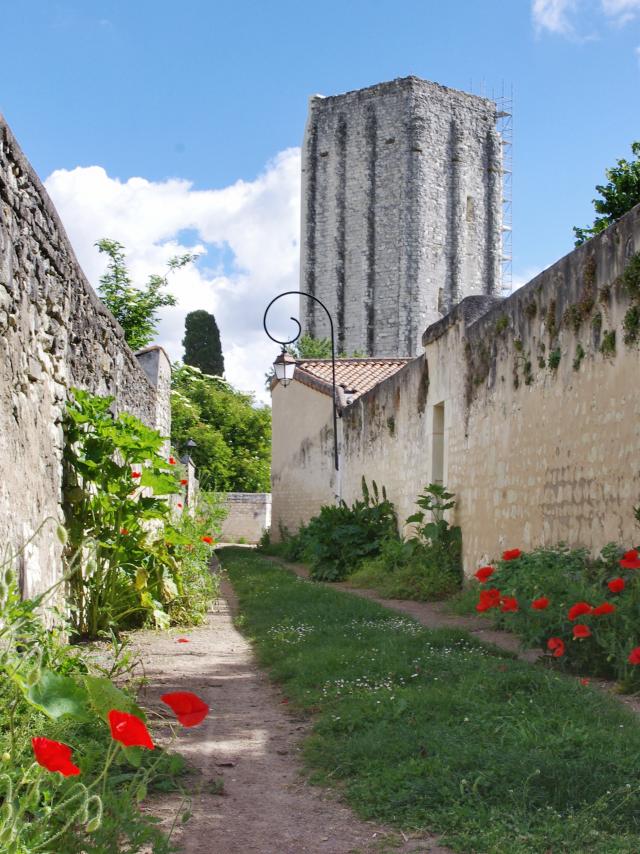 Loudun's Tour Carrée behind a street of poppies