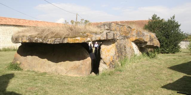 Dolmen Pierre Folle (13)