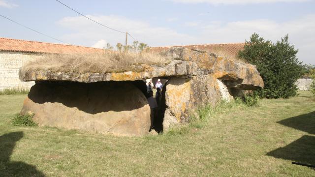 Dolmen Pierre Folle (13)