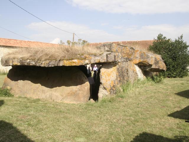 Dolmen Pierre Folle (13)