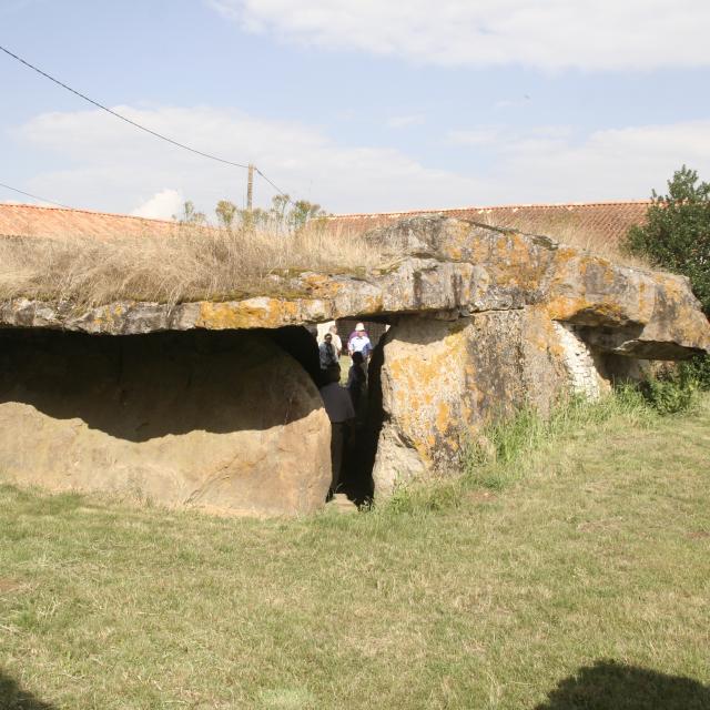 Dolmen Pierre Folle (13)