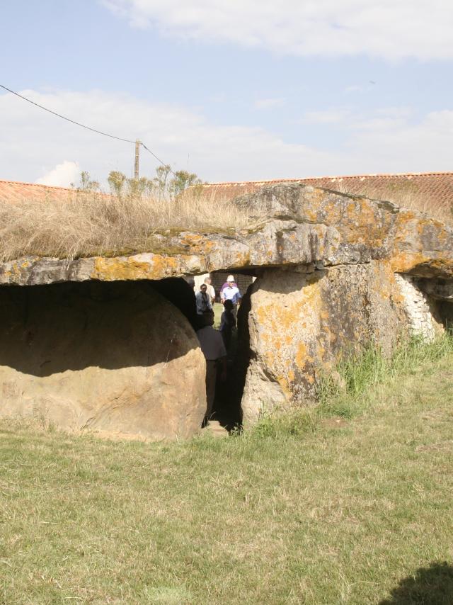 Dolmen Pierre Folle (13)