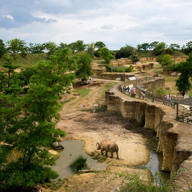 Vallée Des Rhinoceros ©Bioparc