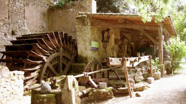 24-moulin-de-chollay.jpg