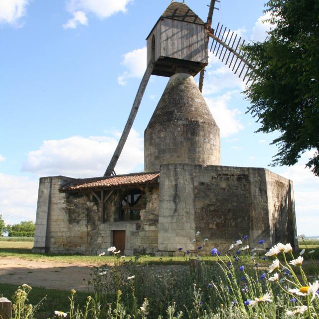 moulin-puy-dardanne-2-scaled.jpg