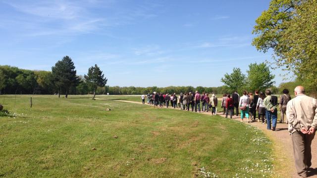 Domaine De Roiffé, Journée De Printemps 2014 (4)