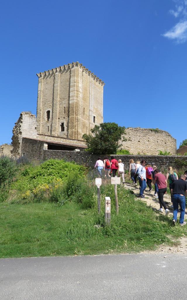 Donjon De Moncontour (2)