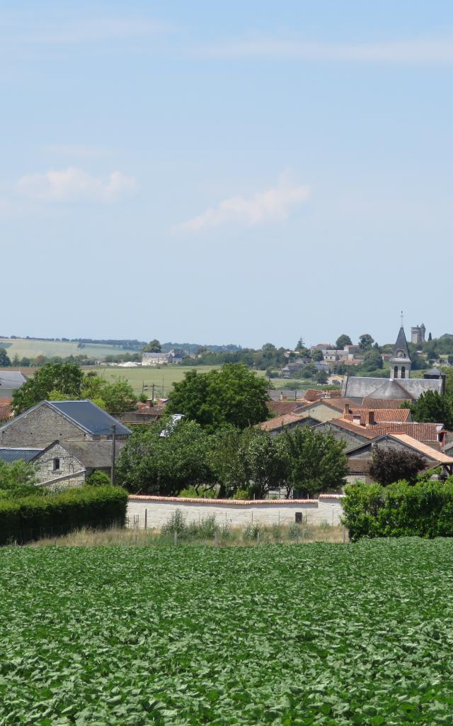 Vue De Ranton Et Curçay Sur Dive (5)