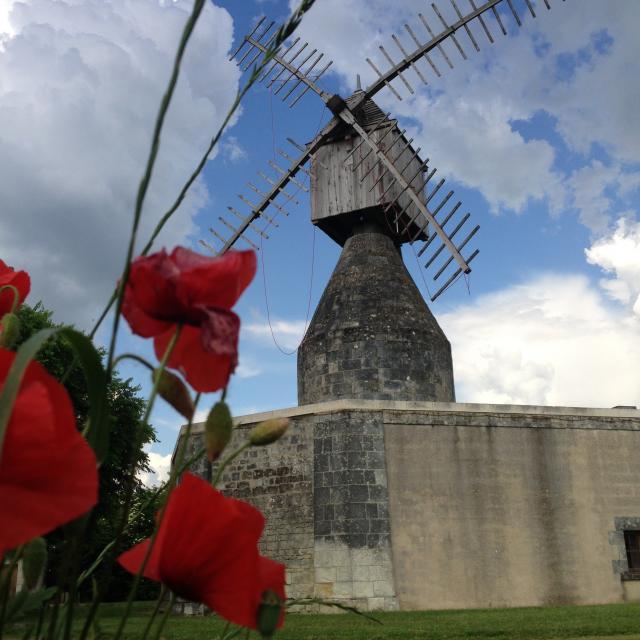 Moulin Puy D'ardanne