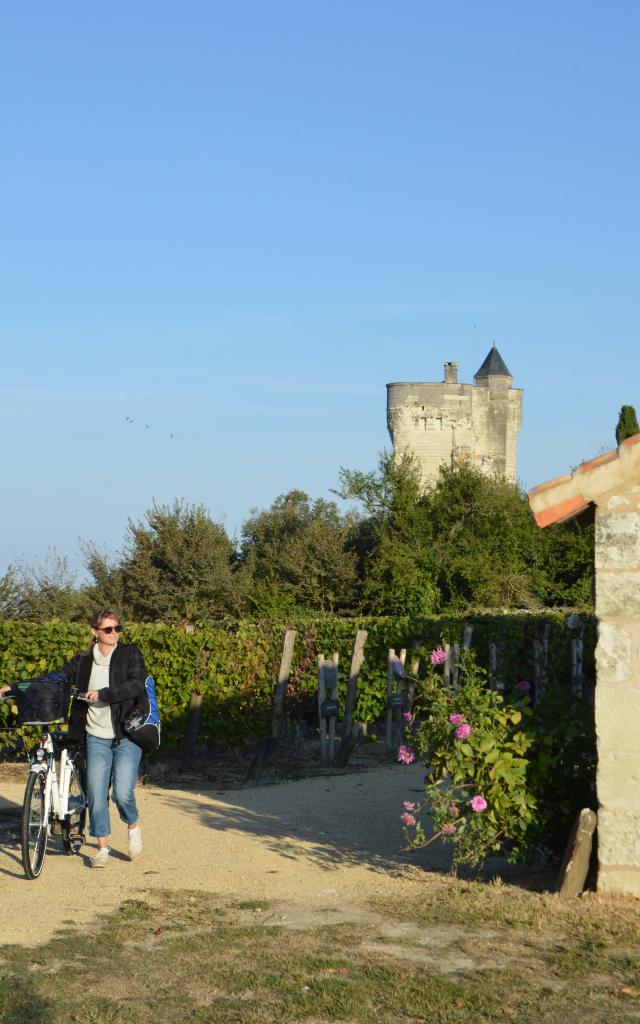 25 Vélo Dans Les Treilles