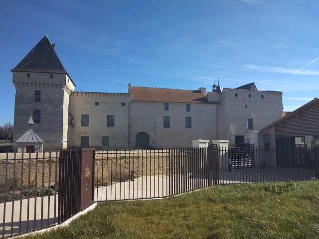 Château de Monts sur Guesnes