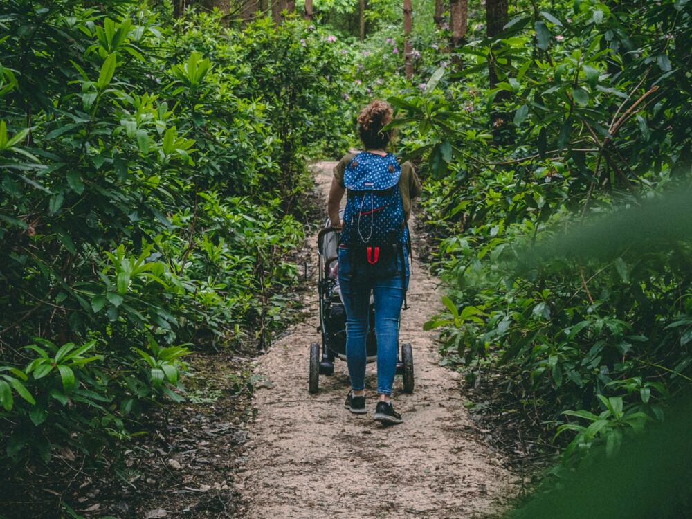 foret poussette promenade