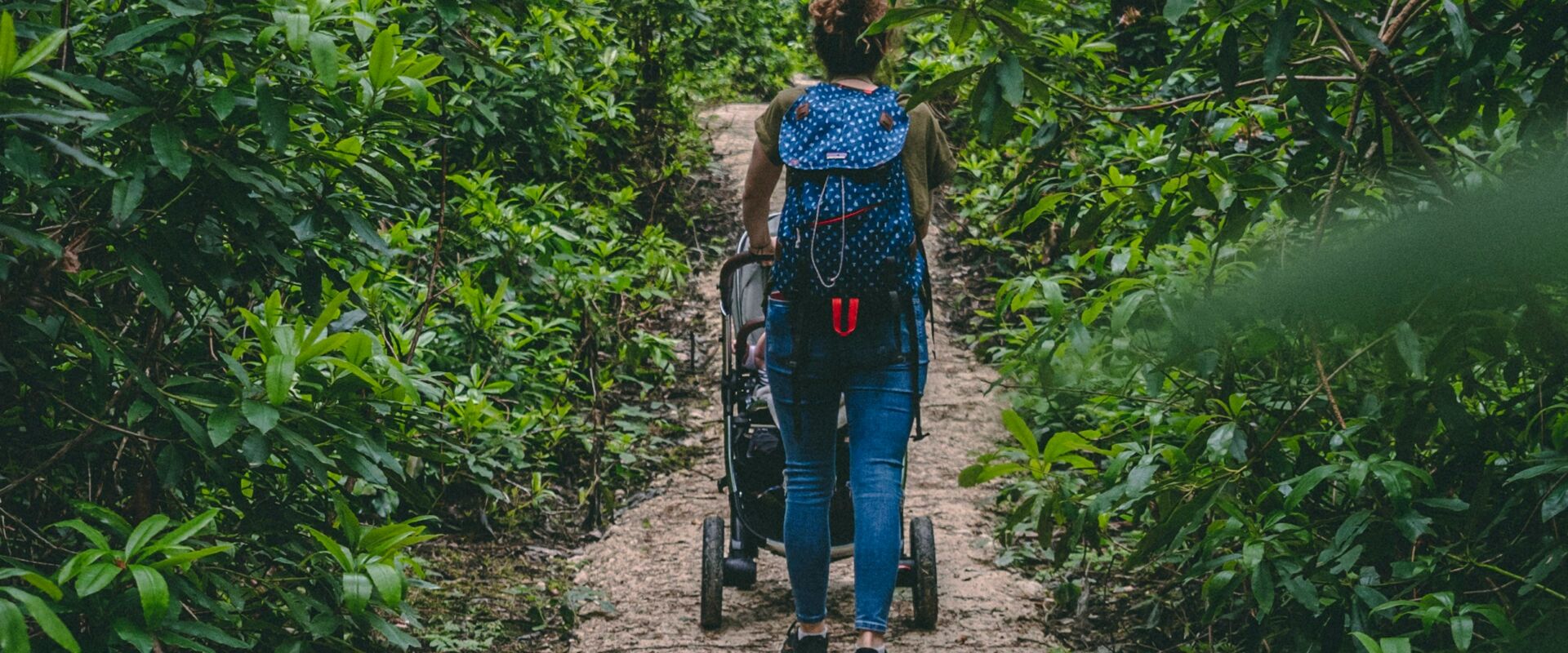 foret poussette promenade