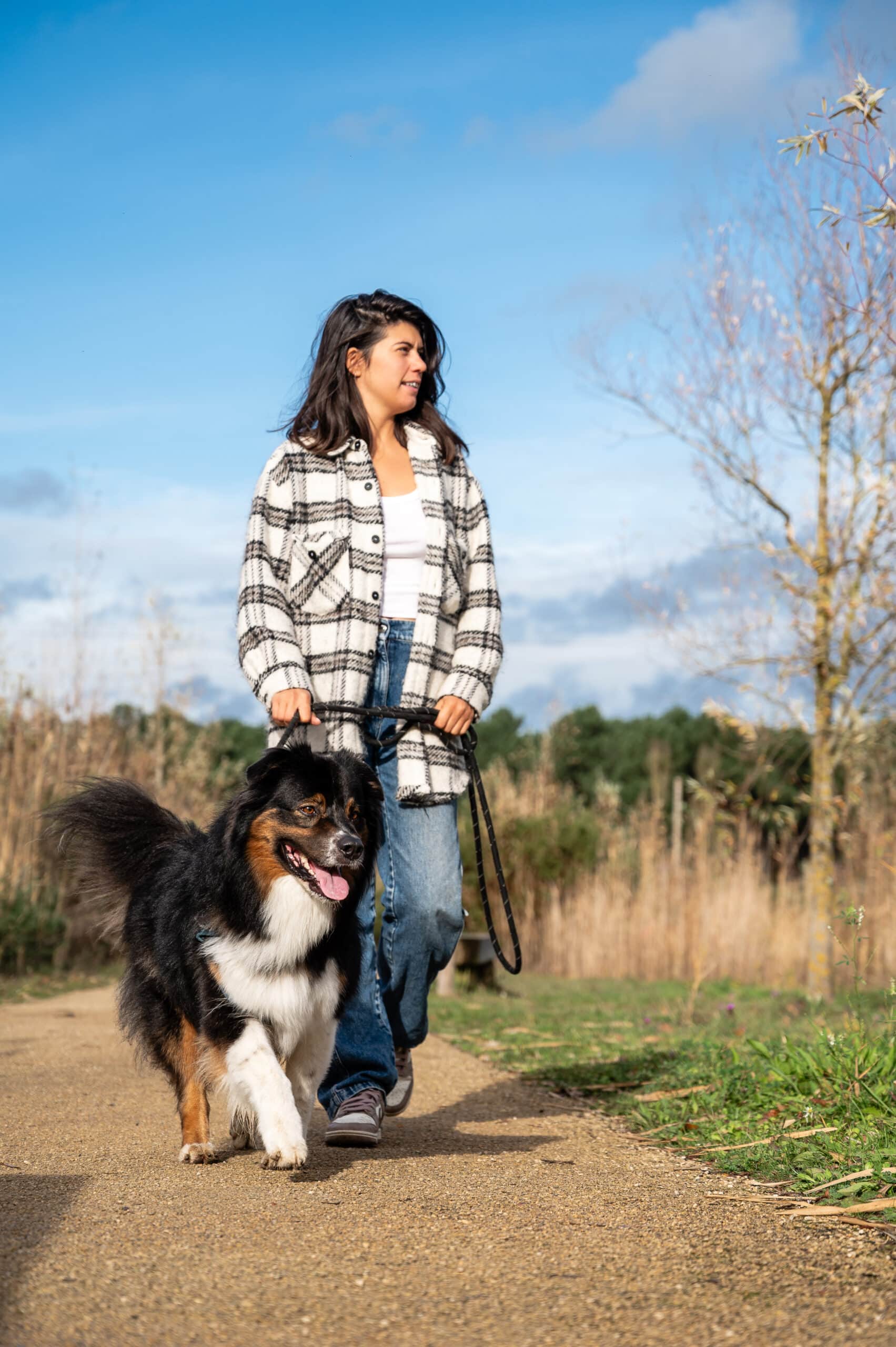 Vacances en Pays loudunais avec son chien