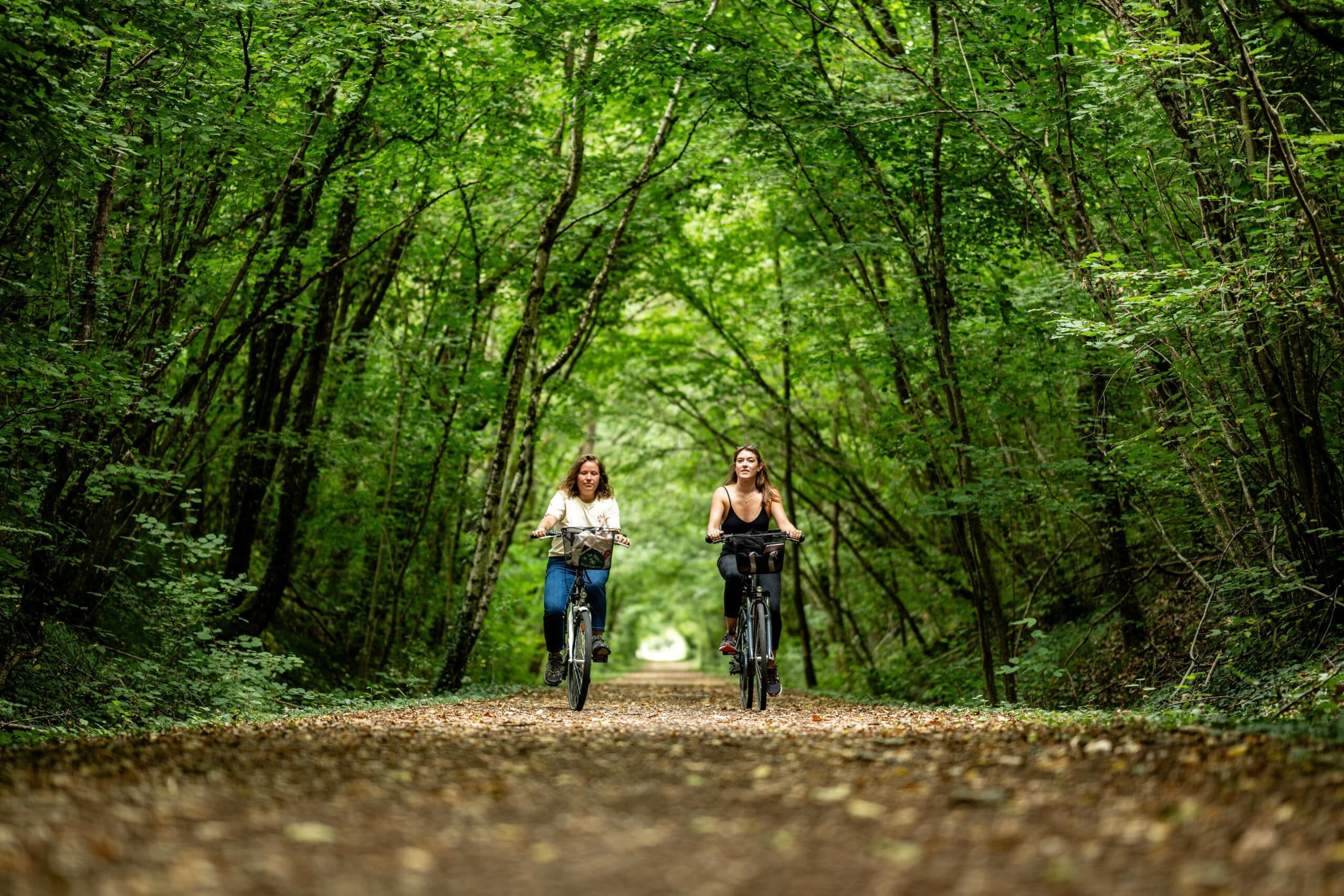 foret sentier vélo