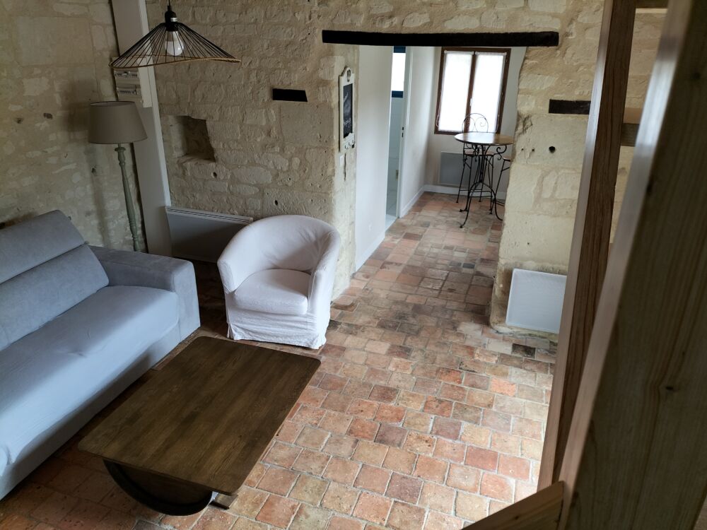 02-Domaine de Bellevue-La Vigneronne_Pouançay_2023