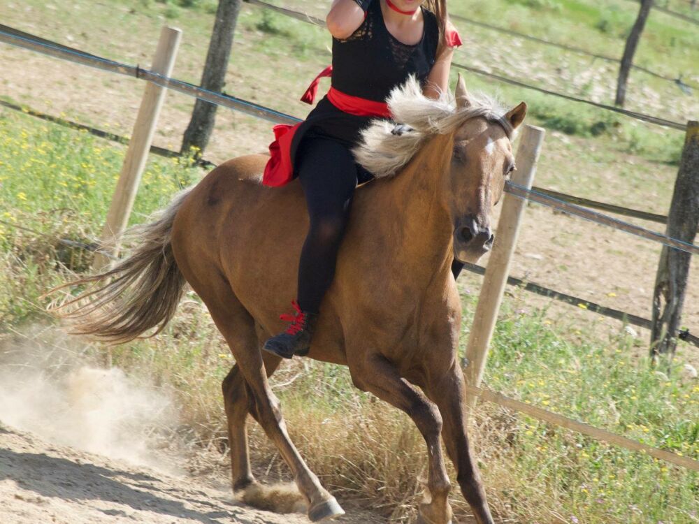 04-Centre-equestre-Ecuries-de-Mornay-Mazeuil