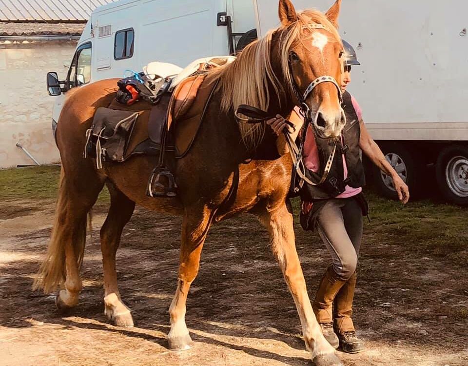 18_les loustiks du vivier 1