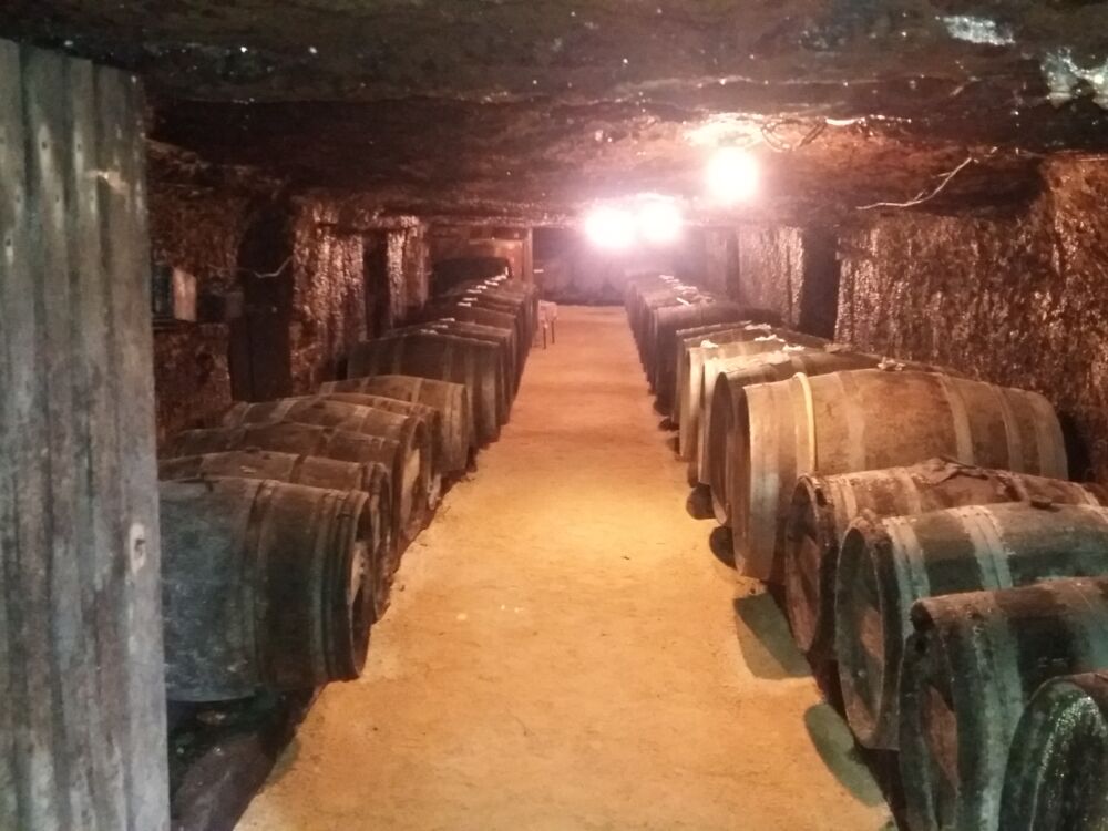 02-Vallet S Père & Fils - St-Léger-de-Montbrillais - 2020