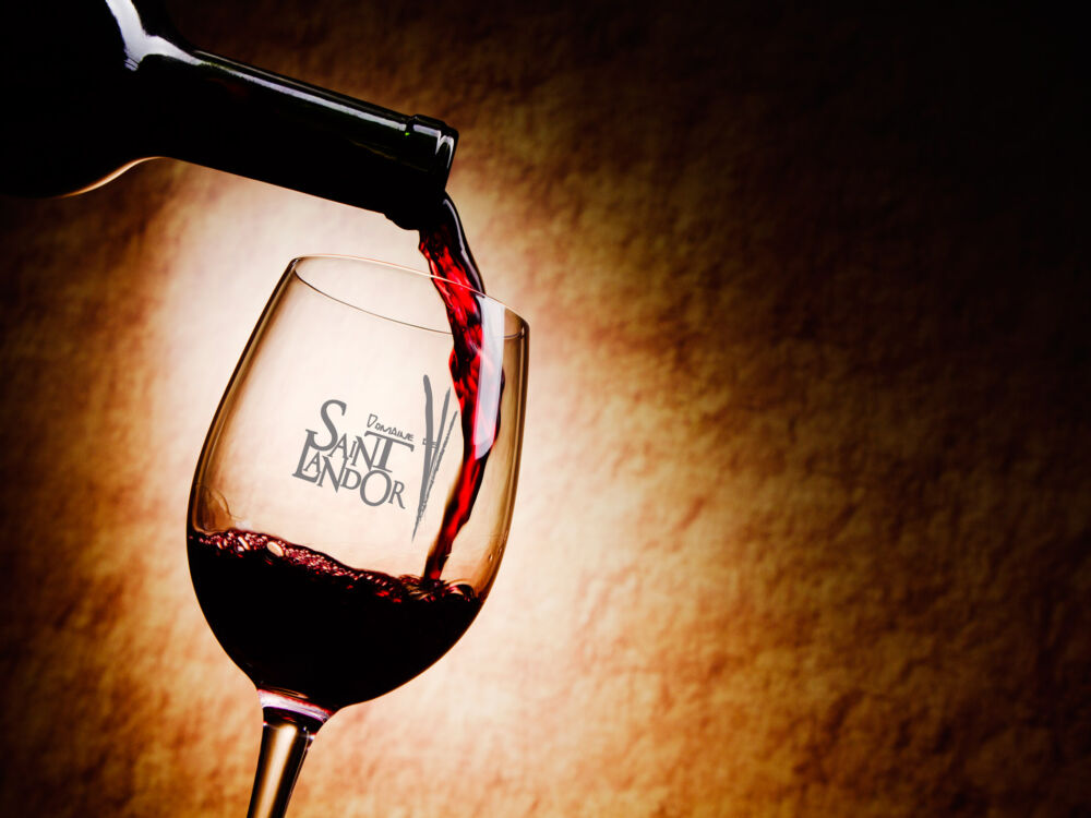 Domaine saint landor.jpg_1