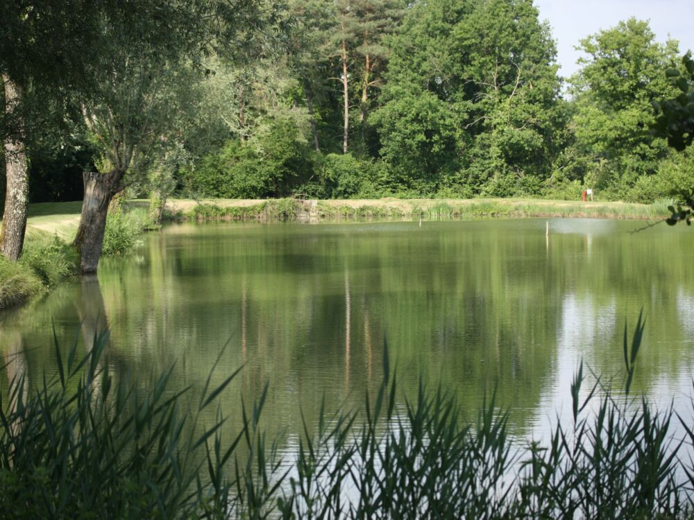 Etang d'Arbonneau_Ceaux-en-Loudun