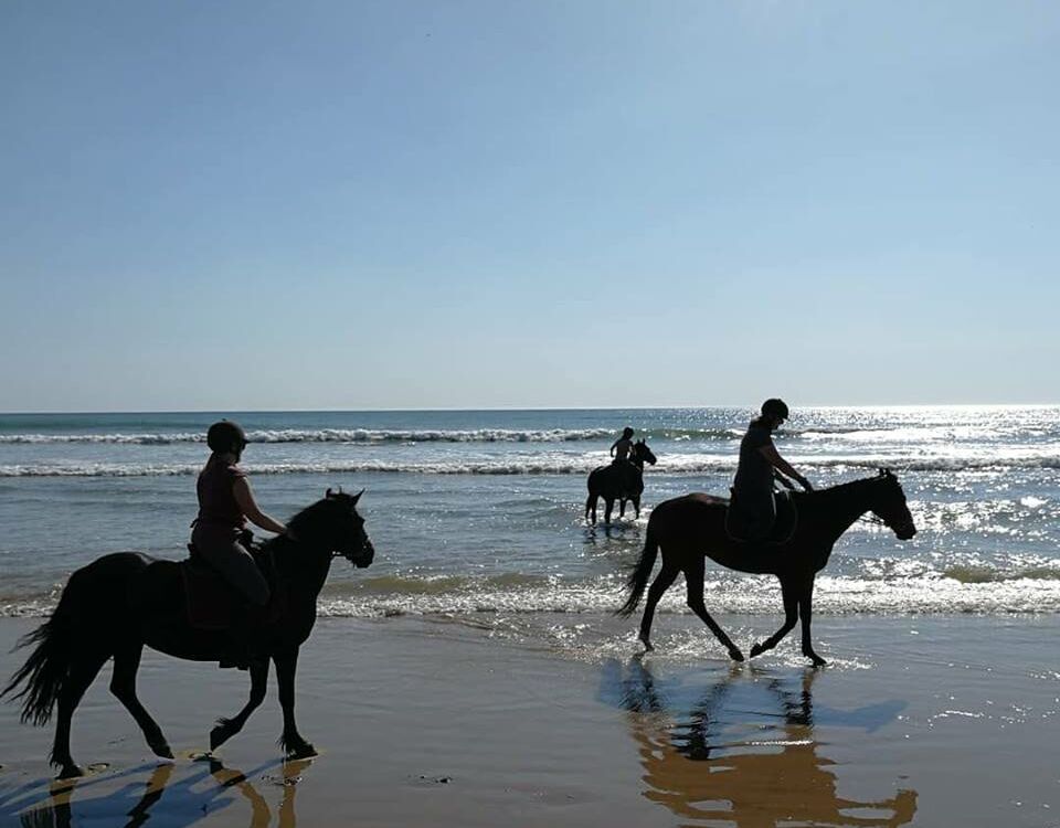 03-MME.DUFRESNES_Dercé_Les Crins de Dercé
