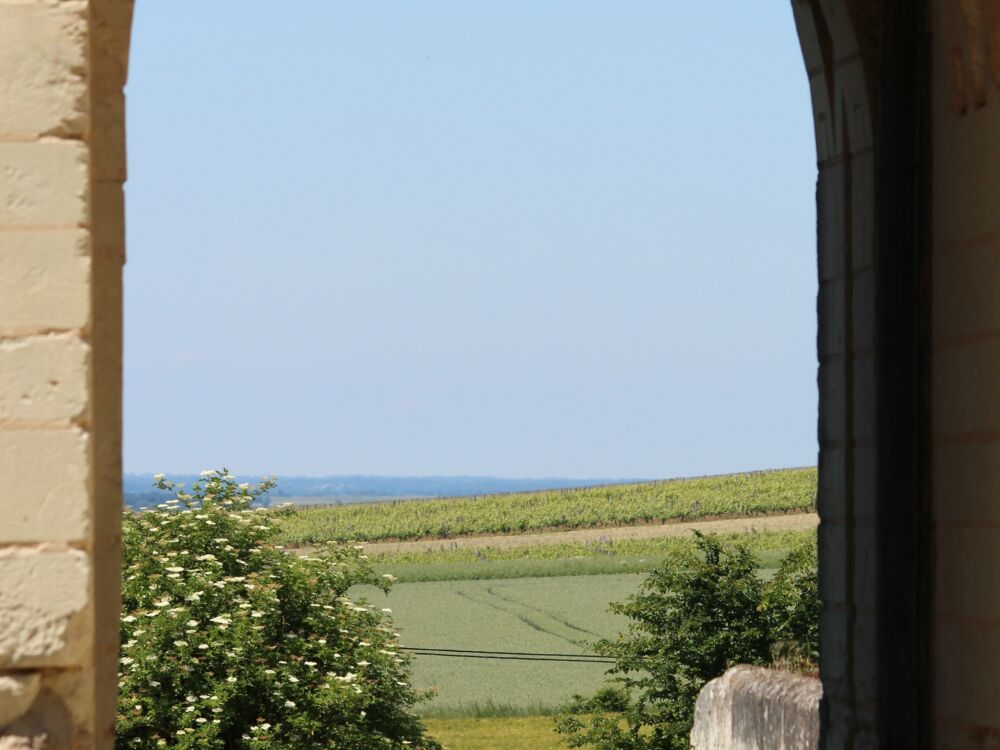 BERRIE Berrie_Forteresse