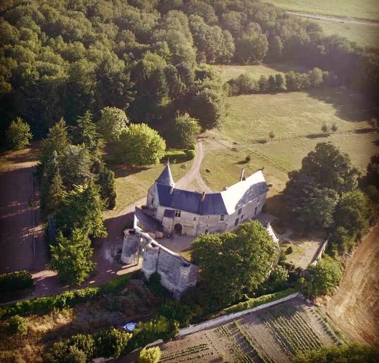 Château de la Roche-Martel (1)