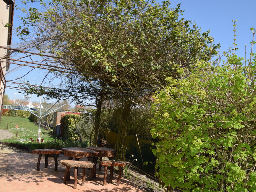 Gîte La Maison du Rouge-Gorge_Monts-sur-Guesnes_Thérèse RINUIT_2022