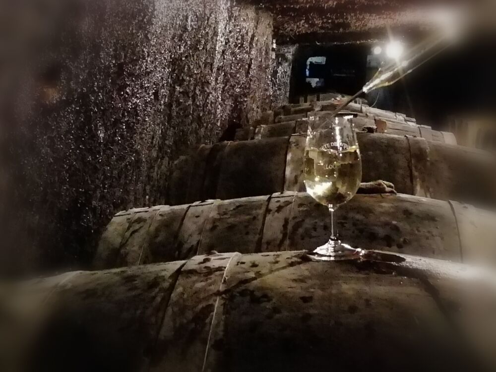 04-Vallet S Père & Fils - St-Léger-de-Montbrillais - 2020