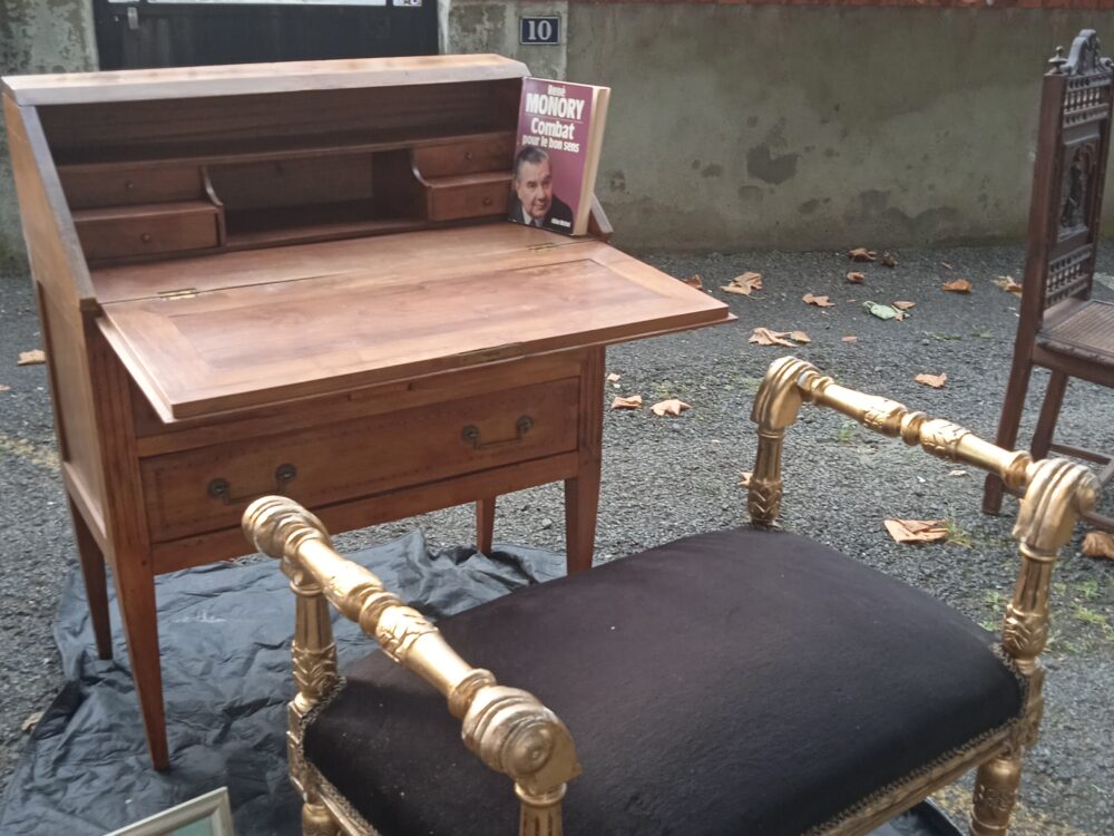 Les Puces Loudunaises 1