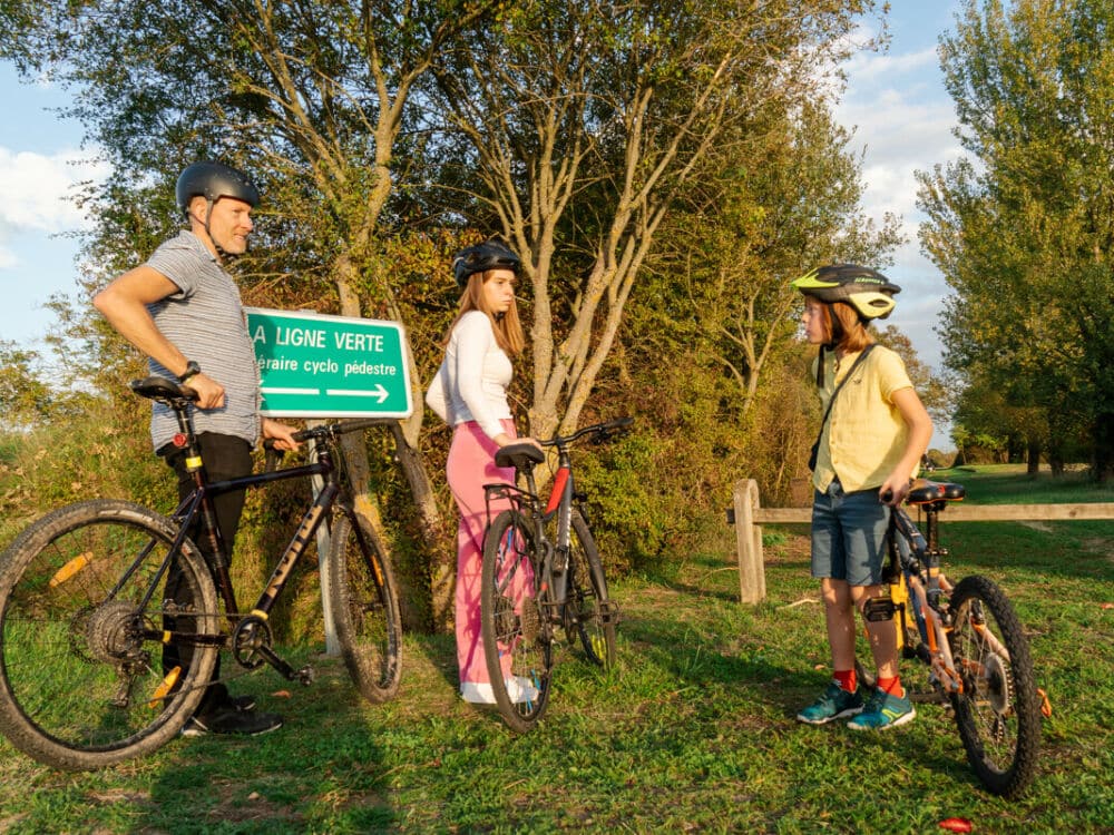 La_ligne_verte-Agence_Zebrelle-12877-1200px