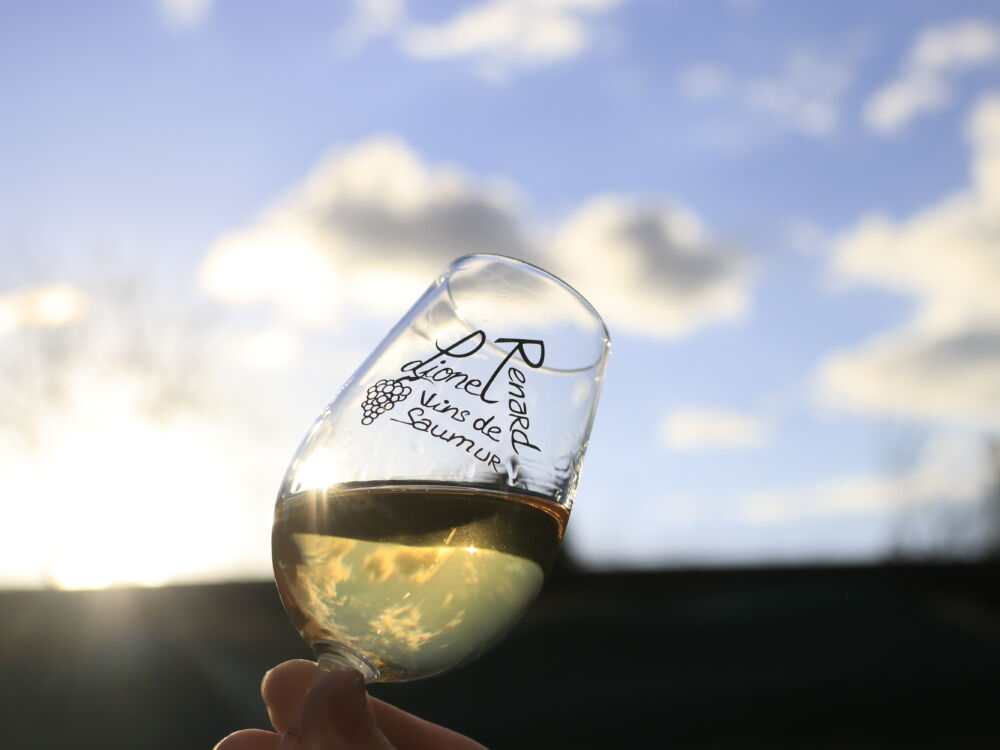 Lionel et Caroline Renard_St-Léger-de-Montbrillais