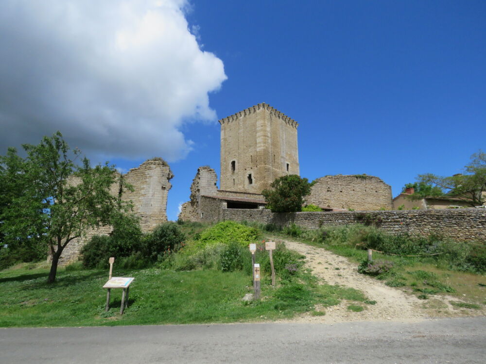 01-Donjon de Moncontour