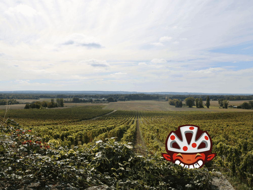 Visuel Terra Aventura SIT - Saix/Roiffé