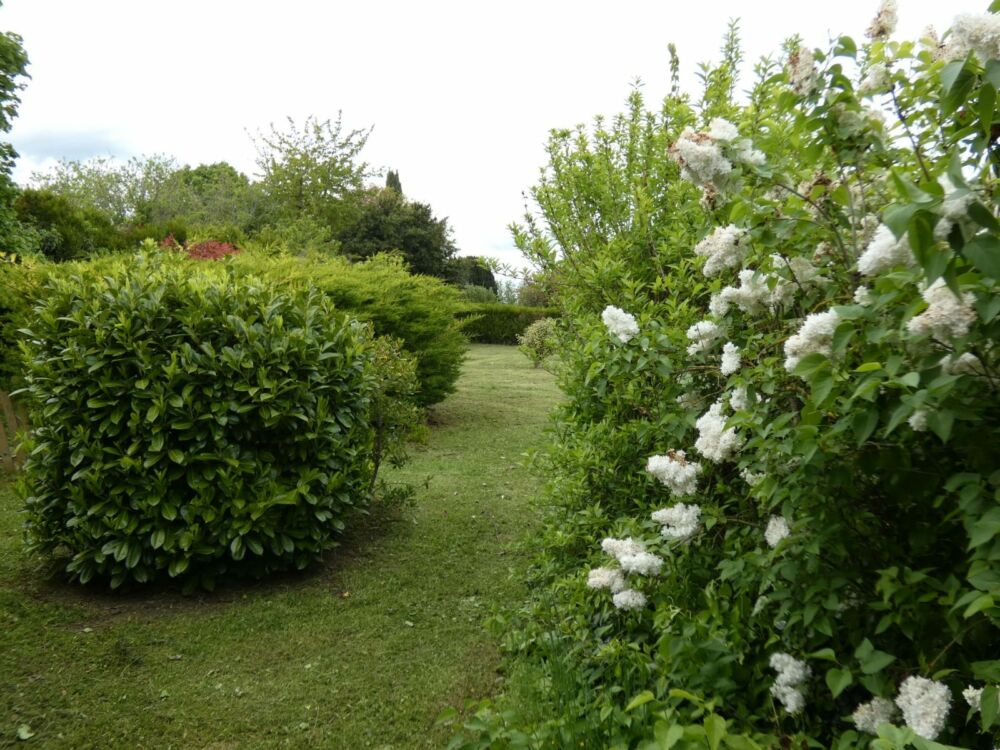 WhatsApp Image 2024-05-05 at 12.38.39 (3)