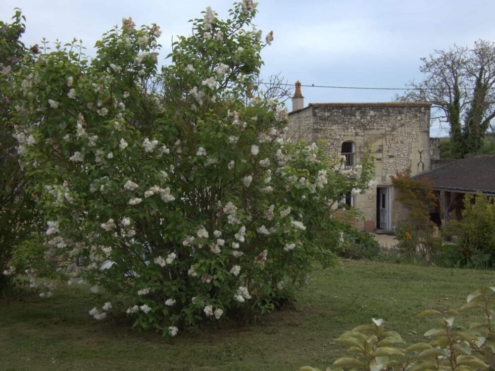 WhatsApp Image 2024-05-05 at 12.38.40 (5)