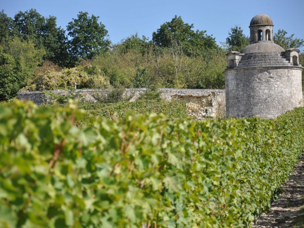 Sentier des grands chênes