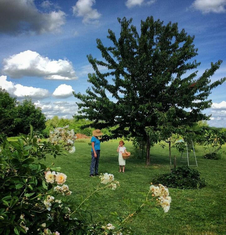 sammarcoles-fougeray5